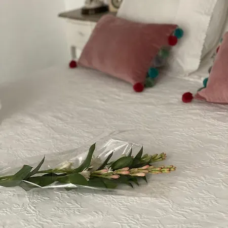 Accommodatie bij particulieren Lujosa Privada En Casa Del S Xix *