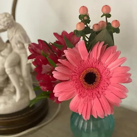 Accommodatie bij particulieren Lujosa Privada En Casa Del S Xix