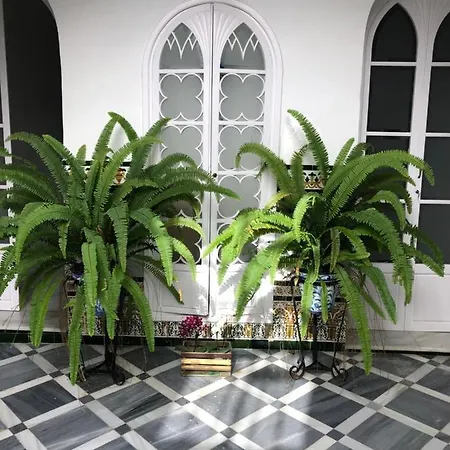 Lujosa Privada En Casa Del S Xix Homestay *