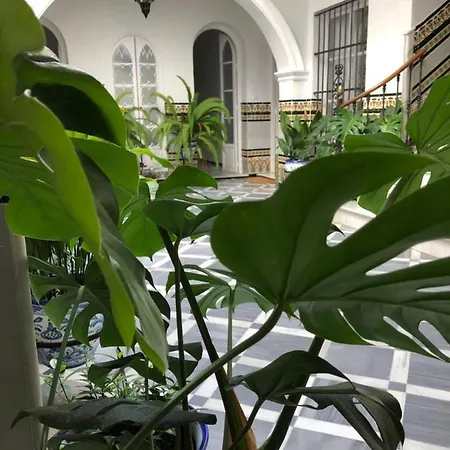 Lujosa Privada En Casa Del S Xix